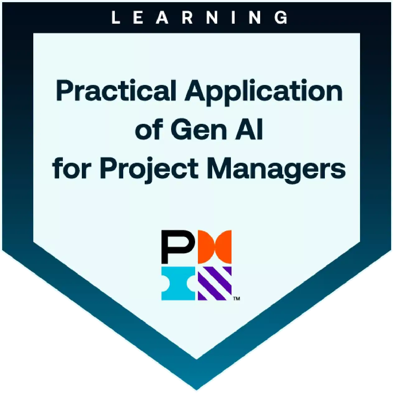 PMI - AI for PM
