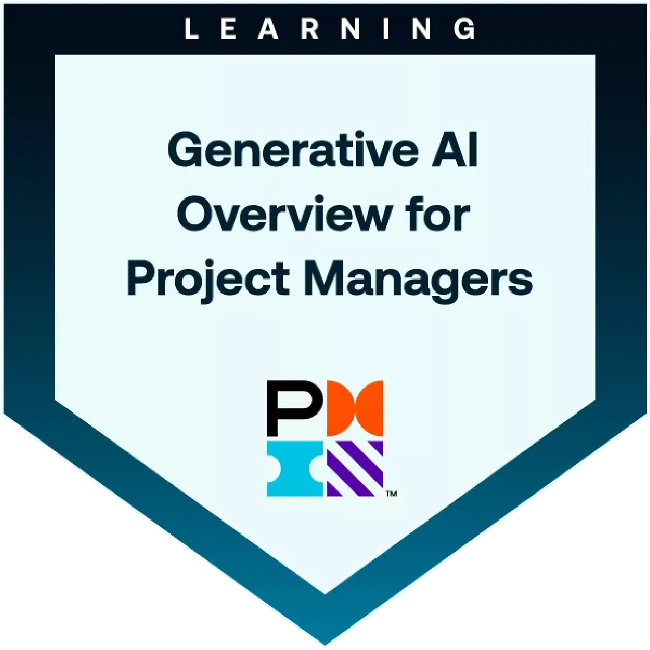 PMI - General AI